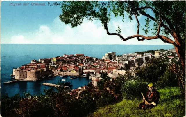 CPA AK CROATIA DUBROVNIK - RAGUSA mit Oelbaum (571043)