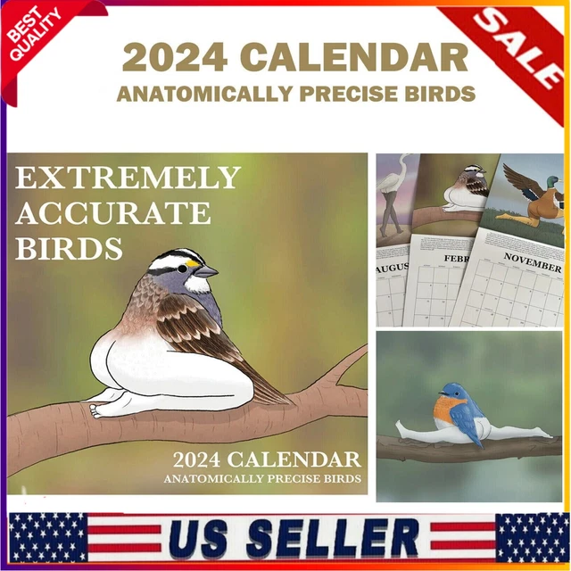 2024 CALENDAR OF Extremely Accurate Birds 2024 Bird Calendar Wall Funny