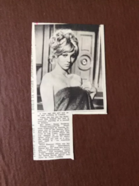 B9b Ephemera 1966 Picture Actress Susan Denberg Hammer Horror Star