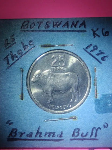 1989 Botswana 25 Thebe Cow Cattle Animal Wildlife Coin Money