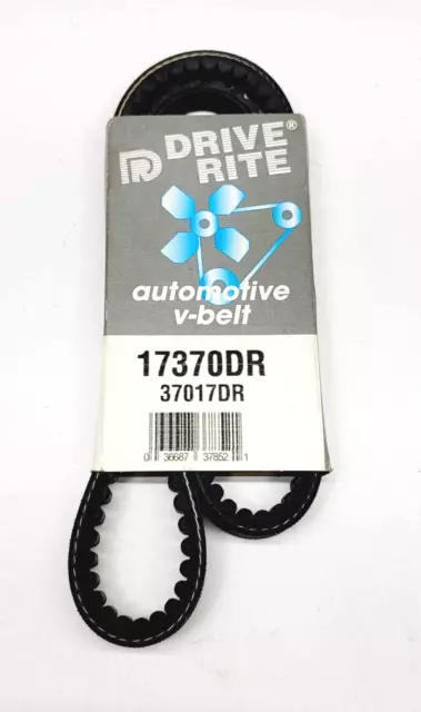 Accessorio Guida Belt-Gas Drive-Rite 17370DR