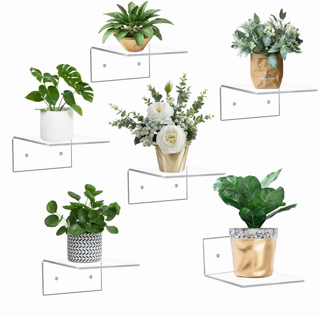6 Pack Small Acrylic Floating Shelves for Wall, Clear Display Shelf