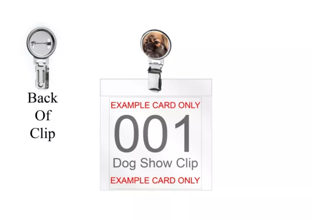 Tibetan Spaniel codez5 DOME on a Dog Show Ring Clip and Number Card Holder