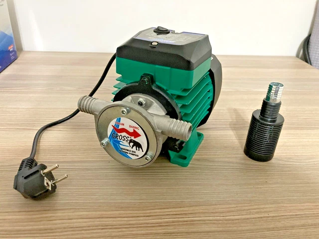 Pompa di trasferimento carburante diesel olio 8GPM 370W Pompa autoadescante...