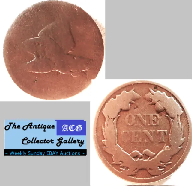 US 1857 CuNi Flying Eagle Cents🪙 Antebellum Years (1820-1860) 🪙