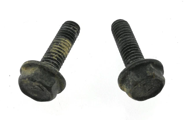 Kawasaki Oem Voltage Regulator Bolts