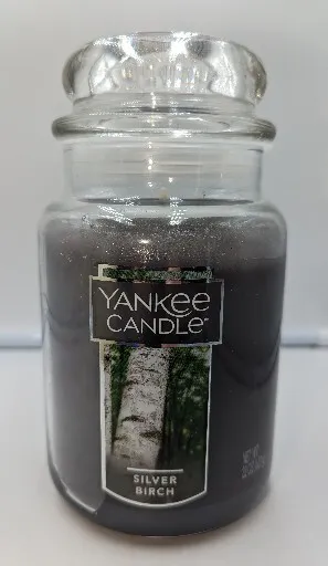NEW Yankee Candle Large 22 oz Jar Silver Birch Scent Never Burned