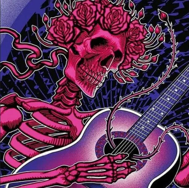 Taladro Completo 5D Diamante Pintura Hogar Bordado Decoración Calavera Tocar Guitarra Artesanías