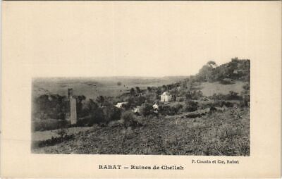 CPA AK RABAT Ruines de Chellah MAROC (23819)