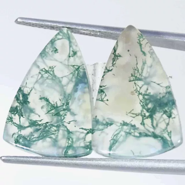 14.20Cts Natural Green Moss Agate Pear Pair Cabochon Loose Gemstone