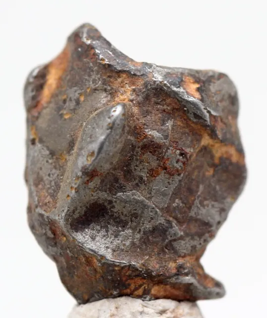 Raro Imilac Ferro Meteorite Esemplare Pallasite Scheletro Meteor Atacama