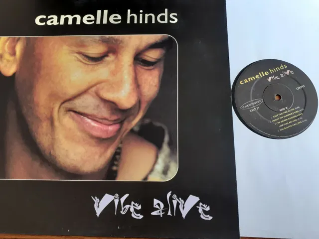 Modern Soul LP -  Camelle Hinds -  Vibe Alive  ( UK Expansion) Mint