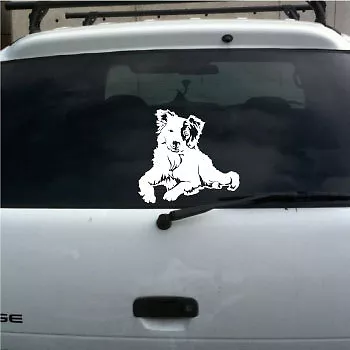 Border Collie herding dog Sheepdog trial vinyl decal lg