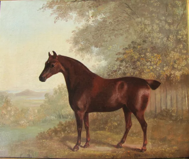 ORIGINAL Antique 1800s British School Horse Cob Oil Painting Portrait FRAMED VTG