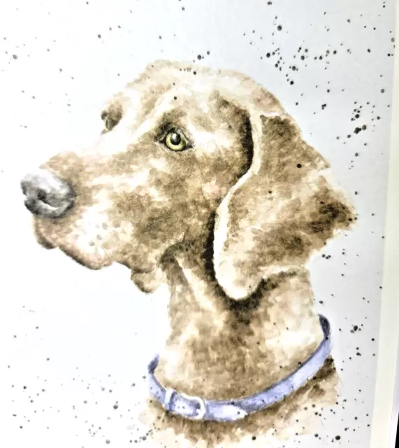 Weimaraner Dog  Print of Watercolor by Hannah Dale Matted 8 x 10 Inch