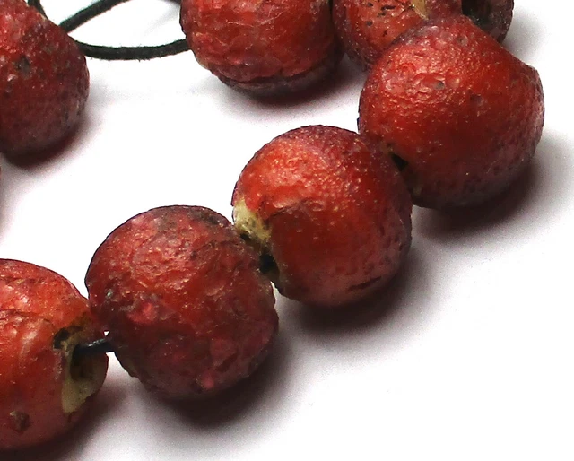 9 Rare Bumps & Bruises Old Large Cornaline D'aleppo Venetian Antique Beads