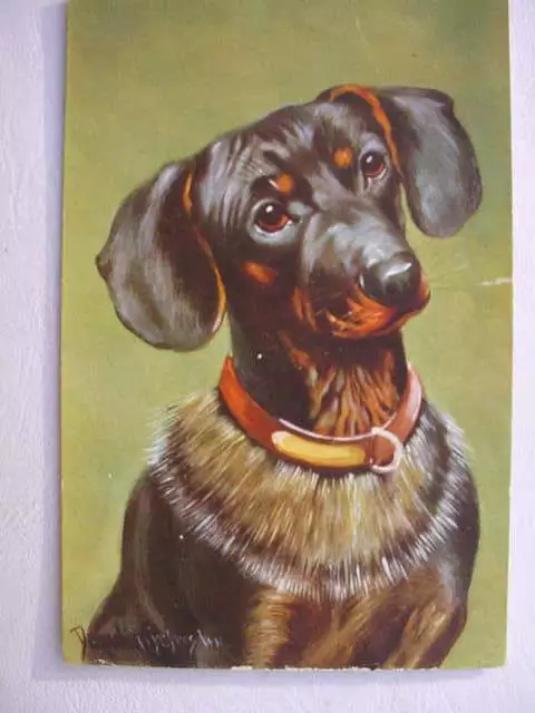 12597 Ak Teckel Tête Portrait de Couleur À 1920 PC Chien Teckel