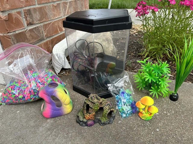 Small Fish Tank With Accessories