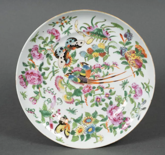 Assiette en porcelaine de Canton XIXe décor de papillons et d'oiseau H5219