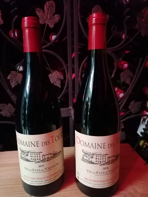 Lot Domaine des Tours 2017 2019 (Rayas)