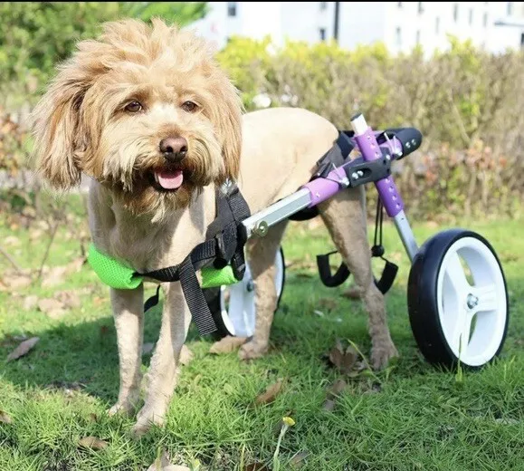 Dog Wheelchair - Small Dog - NEW