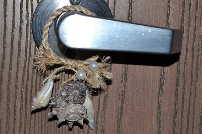 Seashell Bottle Doorknob Hanger Decor Accent #St1-882