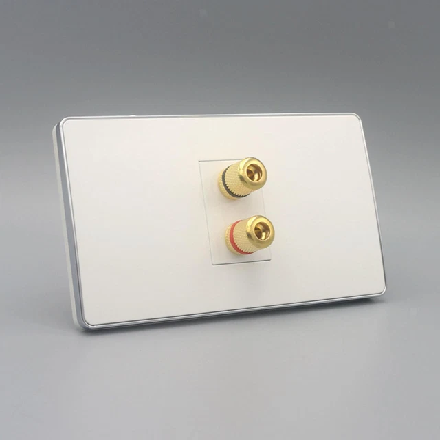 Speaker  Plate 2 Gold Binding Posts Home Theater Wall Plate
