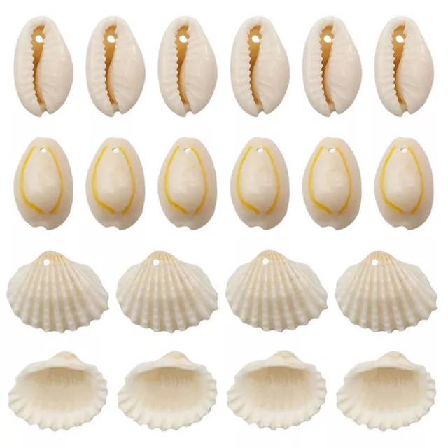 20pcs Natural Sea Shells Conch Coquillage Beads Pendant Craft DIY Jewelry MaAGZQ 2