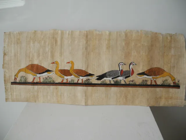 Papyrus Giza / Ägypten mit Wildgänsen 43 cm x 17 cm