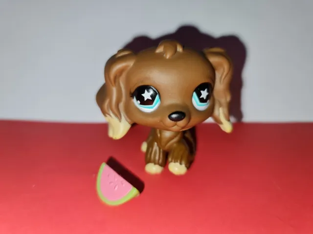 Authentic Littlest Pet Shop #960 Brown Cocker Spaniel Dog LPS