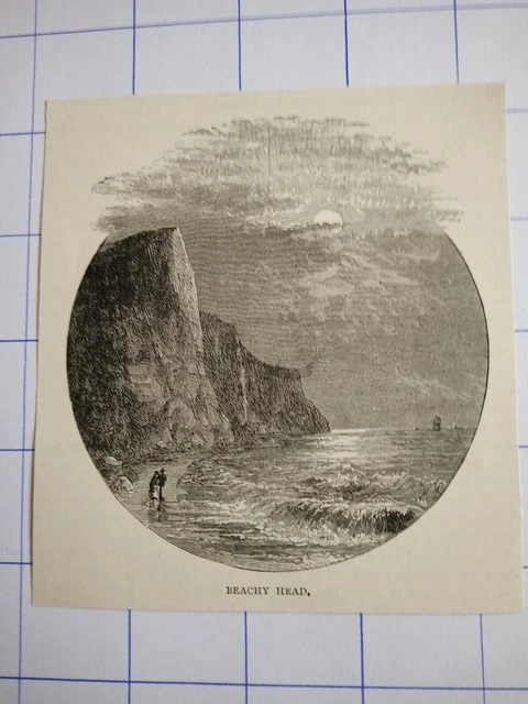Beachy head sea waves people England  illustration 1891
