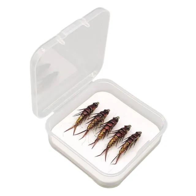 HIGH CARBON STEEL Stonefly Nymph Fishing Lure 5pcs Set for Trout Bass  Grayling £7.85 - PicClick UK