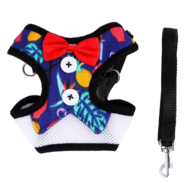Dog Training Leash Choke Free Puppy Vest Harness Small Dogs Medium Dog