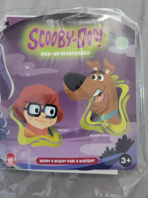 WENDYS 2022 SCOOBY Doo Pop Up Mysteries What A Night For A Knight Kids ...