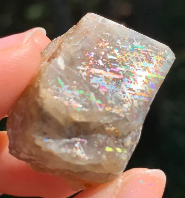 Very Rare Beautiful Full Spectrum Rainbow Lattice Sunstone Polished Crystal *1