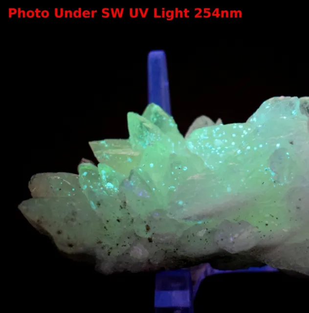 135g Green UV Fluorescent Clear White Calcite Gemstone Crystal Cluster - Mexico