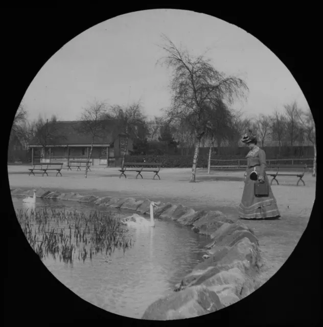 ANTIQUE Magic Lantern Slide LADY IN WEST PARK HULL C1910 EDWARDIAN PHOTO