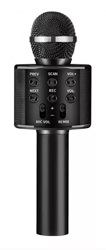 Microphone sans fil karaoké haut-parleur Bluetooth WS-858 2