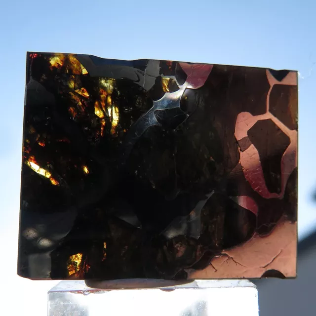 Minerali °°°° METEORITE PALLASITE SEYMCHAN con OLIVINA NOVITA'