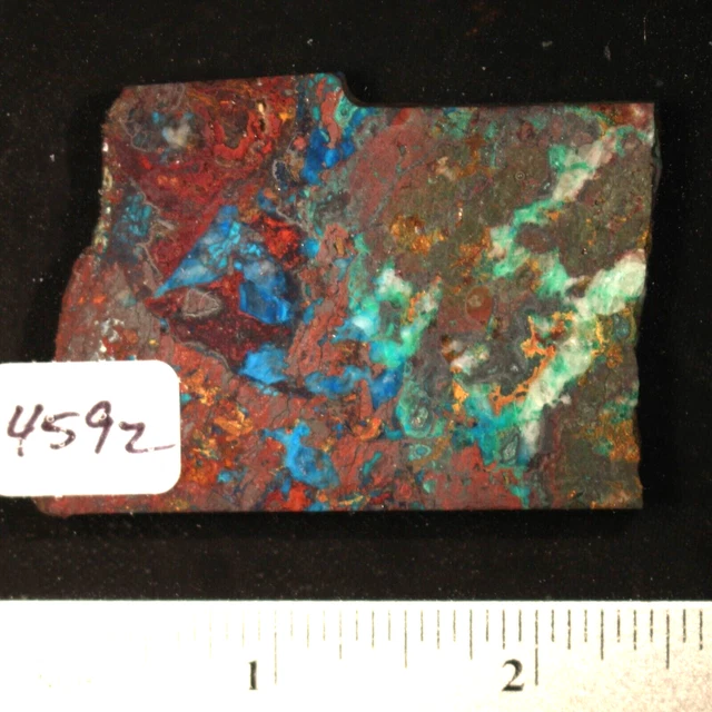 Apache Chrysocolla Lapidary Slab #4592