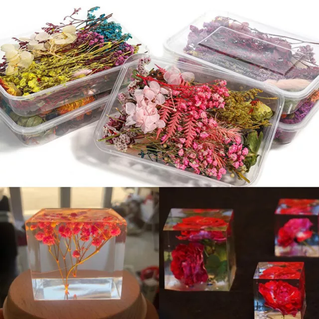 1 caja de flores secas prensadas reales para arte artesanal colgante de resina fabricación de joyas _reino Unido