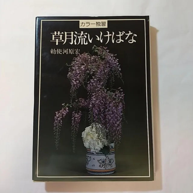 Sogetsu Style Ikebana Hiroshi Teshigahara Color Self Study Picture Book Used
