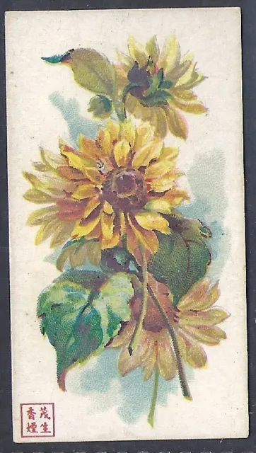 American Cigarette Co. (China)-Flowers-#36- Scarce Card!!!