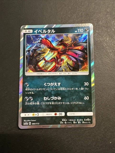 Yveltal 080/173 Holo Rare Pokemon Tag Team GX: Tag All Stars sm12a - Japanese
