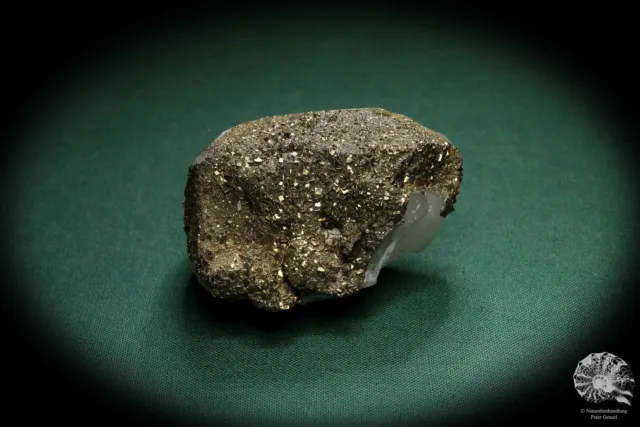 Pyrit XX auf Calcit XX Marokko Stufe Mineral Sammlung Kristall Deko deco