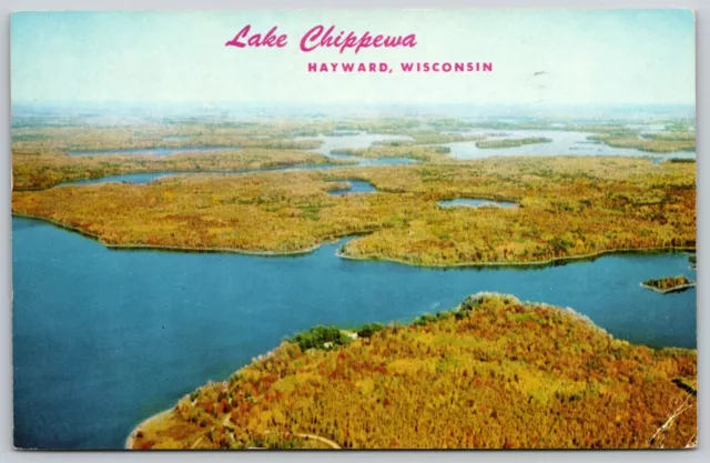 Hayward Wisconsin Aerial View Lake Chippewa Reknown Muskie Waters Postcard