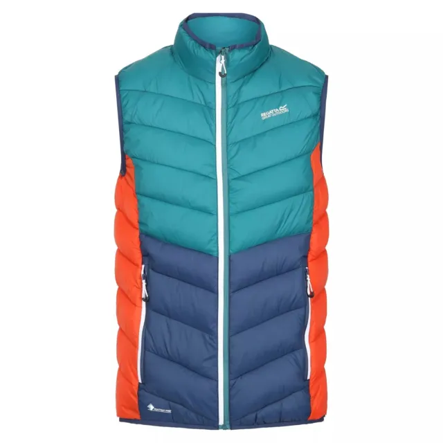 Regatta Harrock Gilet Imbottito Uomo (RG8214)