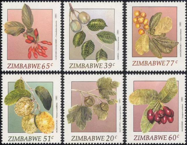 Zimbabwe 1991 Wild Fruit/Apples/Plums/Berries/Trees/Plants/Food 6v set (b9989a)