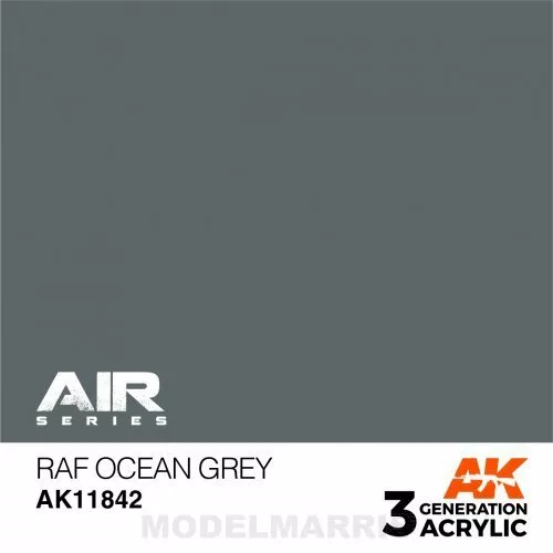 Raf Ocean Grey AK-interactive AK11842