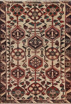 Antique All-Over Pattern Traditional Rug 5x6 Hand-knotted Wool Ivory Rug